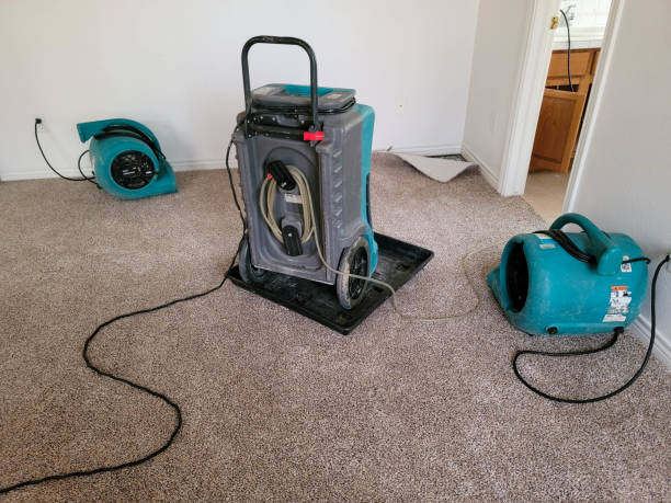 Best Carpet water damage restoration  in Friendswood, TX