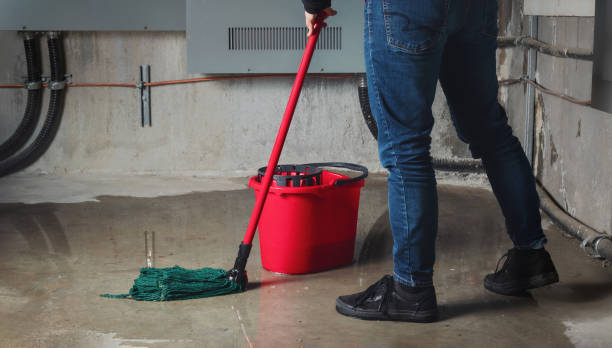 Best Fire Damage Restoration  in Friendswood, TX