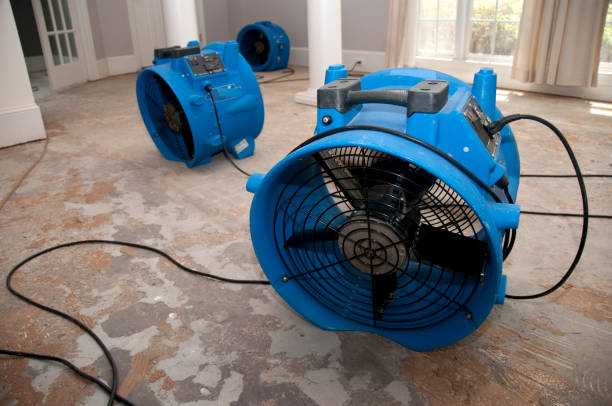 Best Commercial water damage restoration  in Friendswood, TX