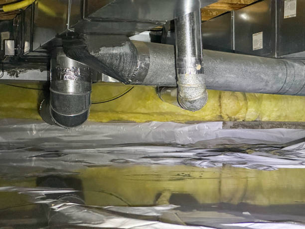 Best Mold removal after water damage  in Friendswood, TX
