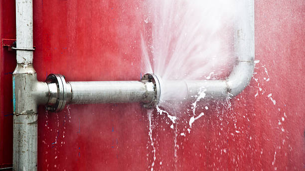 Best Flood damage cleanup  in Friendswood, TX